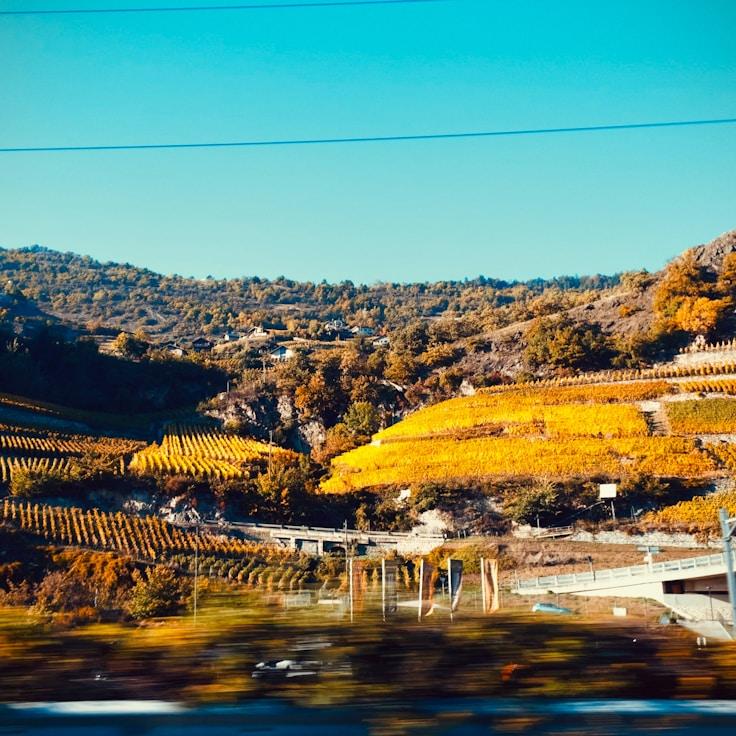Outdoor terrace seating suitable for families in Zürich